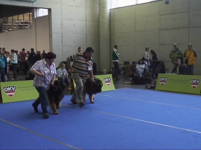 Salzburg Clubschau Mai 06 107 